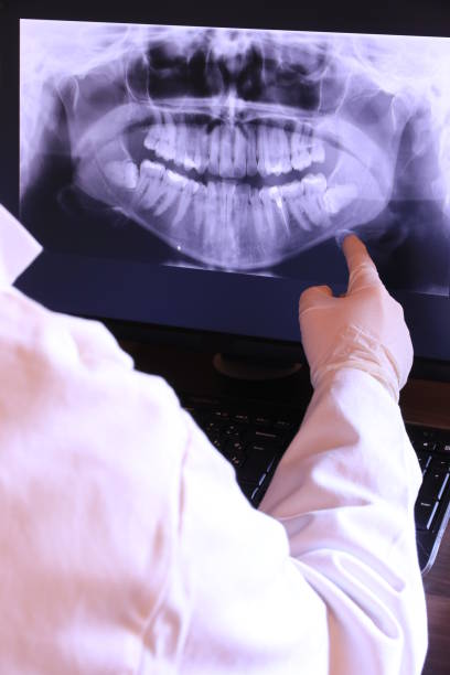 Best Emergency X-Rays and Diagnostics in Mona, UT